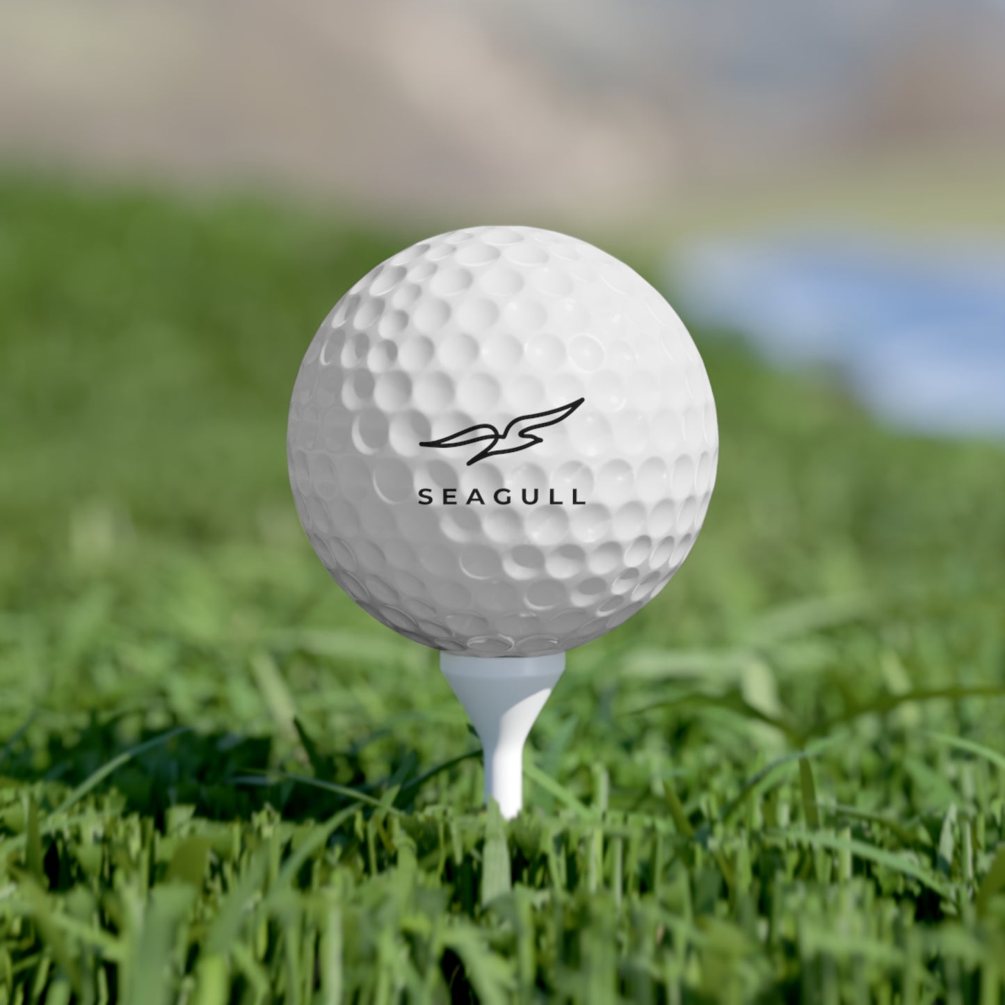 Golf Balls Seagull Logo, 6pcs